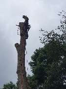 Nadrowski Baumdienst - 2