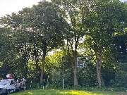 Nadrowski Baumdienst - 20