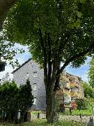 Nadrowski Baumdienst - 8