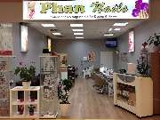 Logo - Nagelstudio Phan Nails