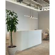 Nanami Nails & Beauty - GALLERY