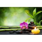 Nani Thai-Massage - LOGO