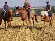 Naturdorf Eickhof - 11