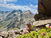 Nature of Man - GALLERY