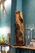 NatureParadise - GALLERY