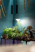NatureParadise - GALLERY