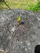 Naturglanz - Büroreinigung München, Praxisreinigung München, Gebäudereinigung - GALLERY