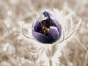 Naturheilpraxis Daniela Seifert-Ebel - 1