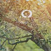 Naturheilpraxis Edeltraud Kamp - LOGO