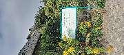 Naturheilpraxis G. Franke-Schwerdt - GALLERY