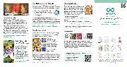 Naturheilpraxis HOLOS Fulga Stefania Marianov - Flyer HOLOS B