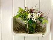 NaturPur Events - Outdoor Activities - GALLERY