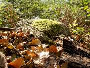 Naturruhe Friedewald GmbH - 3