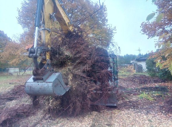 ND Gartenservice & Mehr - 4