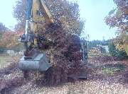 ND Gartenservice & Mehr - 4