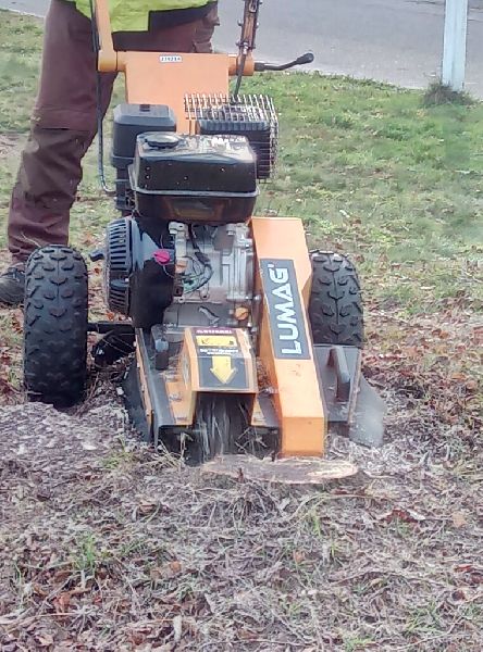 ND Gartenservice & Mehr - Die Wurzelfräsung kann a …