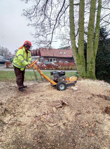 ND Gartenservice & Mehr - Wurzelfräsung