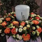 Neese Sargfabrik GmbH - GALLERY