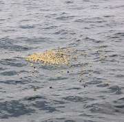 Neese Sargfabrik GmbH - GALLERY