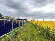 NEON Elektrotechnik - IMG_9053.jpg