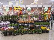 Netto - Günstig. Besser. Für dich. - 2
