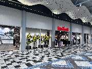 New Yorker - GALLERY