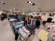 New Yorker - GALLERY