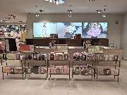 New Yorker - GALLERY