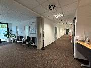 Next Level Chiropractic - GALLERY