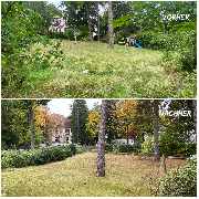 NG SERVICES BERLIN - 12