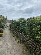 NG SERVICES BERLIN - 3