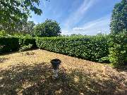 NG SERVICES BERLIN - 3