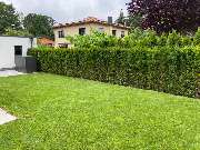 NG SERVICES BERLIN - 5