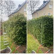 NG SERVICES BERLIN - 7