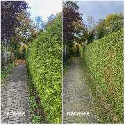 NG SERVICES BERLIN - 9