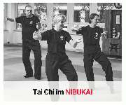 Nibukai- Zentrum für asiatische Kampfkünste - Tai Chi und Qi Gong