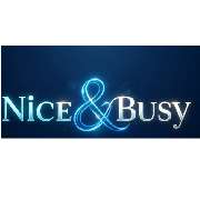 Nice&busy - LOGO