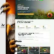 Niceweb - GALLERY