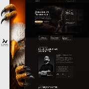 Niceweb - GALLERY