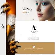Niceweb - GALLERY
