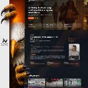 Niceweb - GALLERY