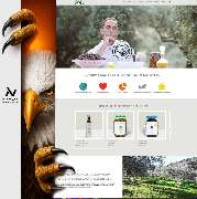Niceweb - GALLERY