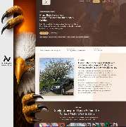 Niceweb - GALLERY