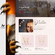 Niceweb - GALLERY