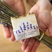 nichts meer als das - GALLERY