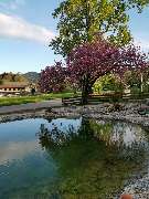 Noichl - Natürlich. Grün. - GALLERY