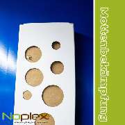 Noplex GmbH Schädlingsbekämpfung & Hygienemanagement - Noplex Schädlingsbekämpfung Mottenbekämpfung