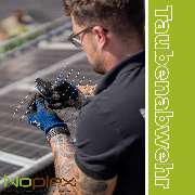 Noplex GmbH Schädlingsbekämpfung & Hygienemanagement - Noplex Schädlingsbekämpfung Taubenabwehr