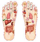 Nuad Thai Massage Berlin - 3