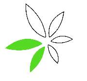 Nuad Thai Massage Berlin - 4